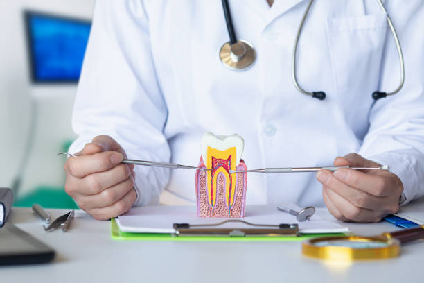 Best Emergency Tooth Extraction in Warren, OR